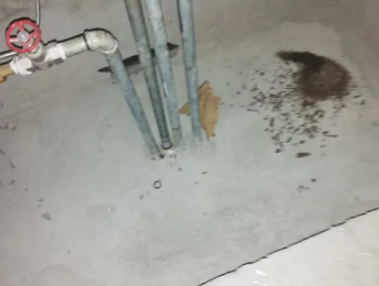 喀喇沁卫生间测漏水价格明细